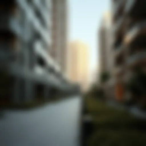 The Intersection of Identity and Habitat: Exploring Residence in Dubai's Opera District Introduction