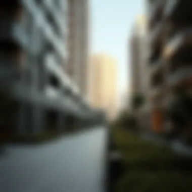 The Intersection of Identity and Habitat: Exploring Residence in Dubai's Opera District Introduction The Intersection of Identity and Habitat: Exploring Residence in Dubai's Opera District Introduction