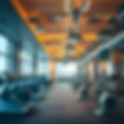 Modern gym facility showcasing advanced fitness equipment in Dubai