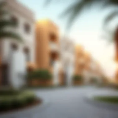 Residential Architecture in Al Qasis Modern residential buildings in Al Qasis reflecting architectural trends