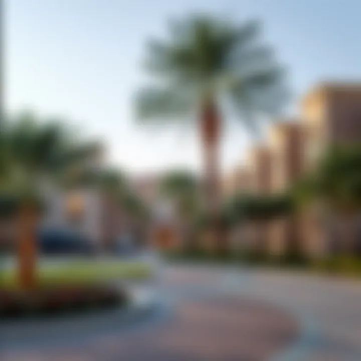 Surrounding landscape of TRC Residence Malliha showcasing community features