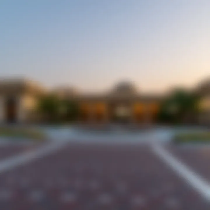 Navigating Challenges in UAE Pass Registration Overcoming challenges in UAE Pass registration