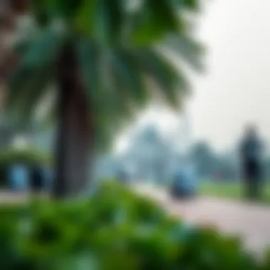 Serene Park Observing Prayer Times People observing prayer times in a serene park setting.