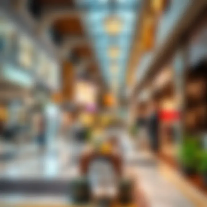 Diverse Retail Experience at Village Mall Jumeirah Diverse retail offerings in Village Mall Jumeirah, highlighting unique stores
