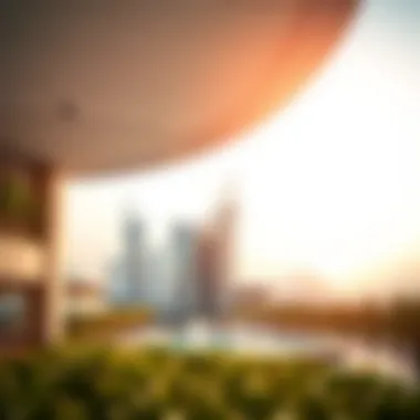 Market Trends and Investment Potential of Yas Park Views Investment insights and market trends for Yas Park Views